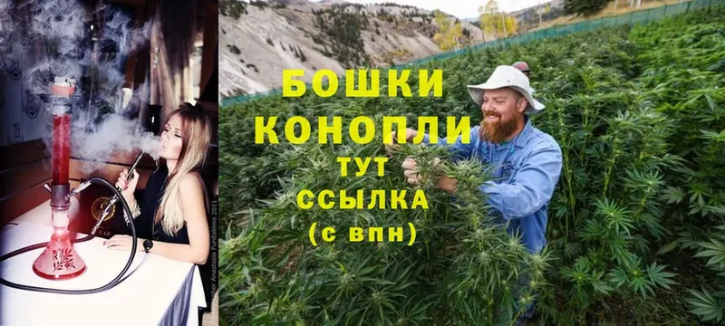 купить наркоту  это клад  Бошки Шишки White Widow  Балей 